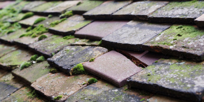 Lamport roof repair costs